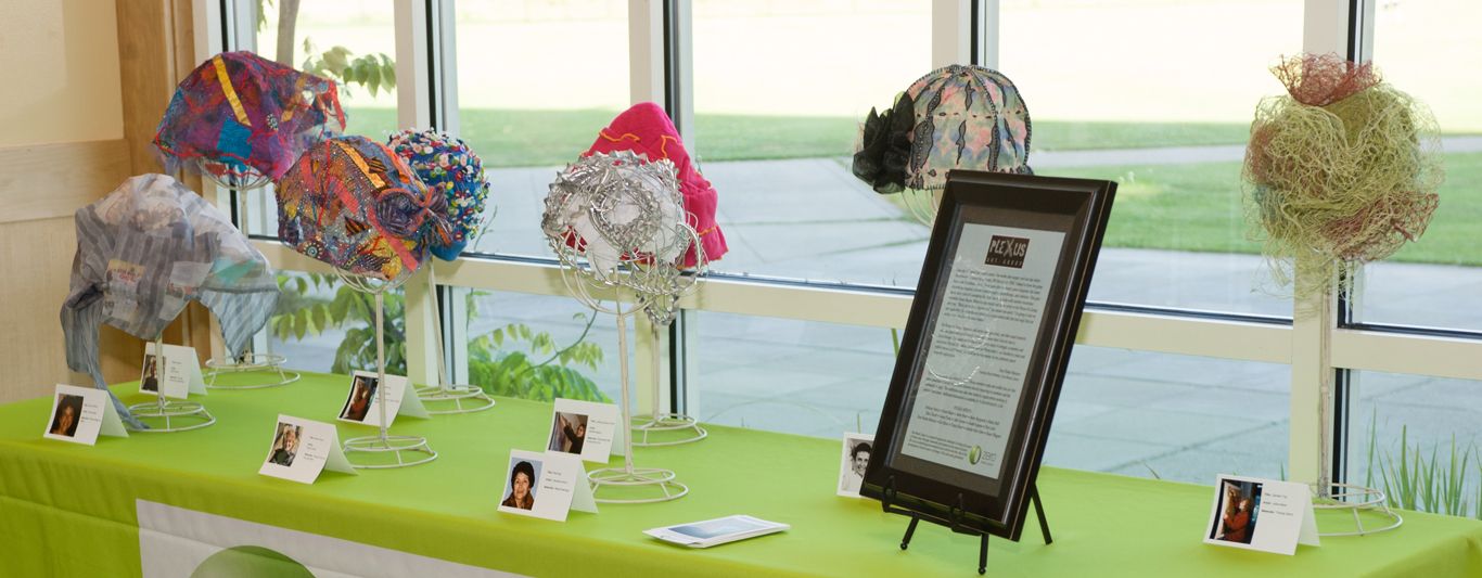 plexus hat display