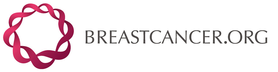 breastcancer.org logo blog two