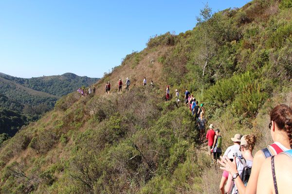 dipsea hike